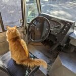 Ford Econoline Stepvan for Sale - Image 8